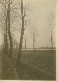 00000000 - 9767 - Ort unbekannt - Bäume am Fluß.jpg