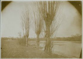 00000000 - 9769 - Ort unbekannt - Weiden am Fluß.jpg