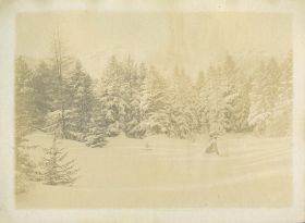 00000000 - 9704 - Ort unbekannt - Winterwald.jpg