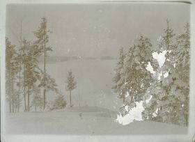 00000000 - 9705 - Ort unbekannt - Schnee auf Tannen.jpg