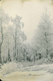 00000000 - 9713 - Ort unbekannt - Bäume mit Reif.jpg