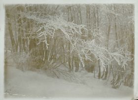 00000000 - 9712 - Ort unbekannt - Wald mit Reif.jpg