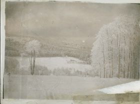 00000000 - 9678 - Ort unbekannt - Bäume mit Reif.jpg